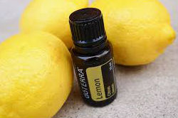 Where to buy lemon essential oil